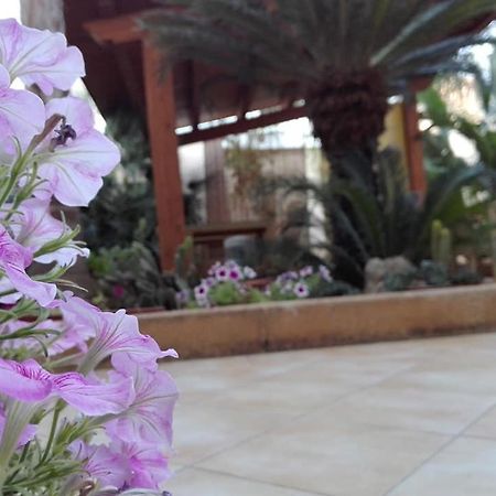 Amaryllis Hotel San Vito Lo Capo Kültér fotó