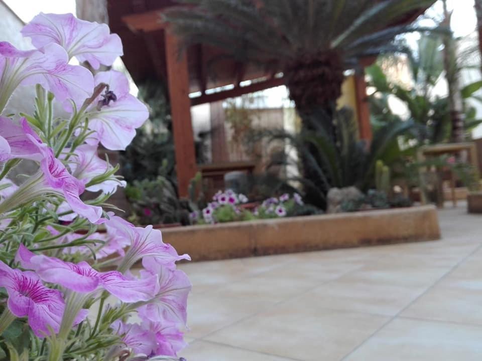 Amaryllis Hotel San Vito Lo Capo Kültér fotó